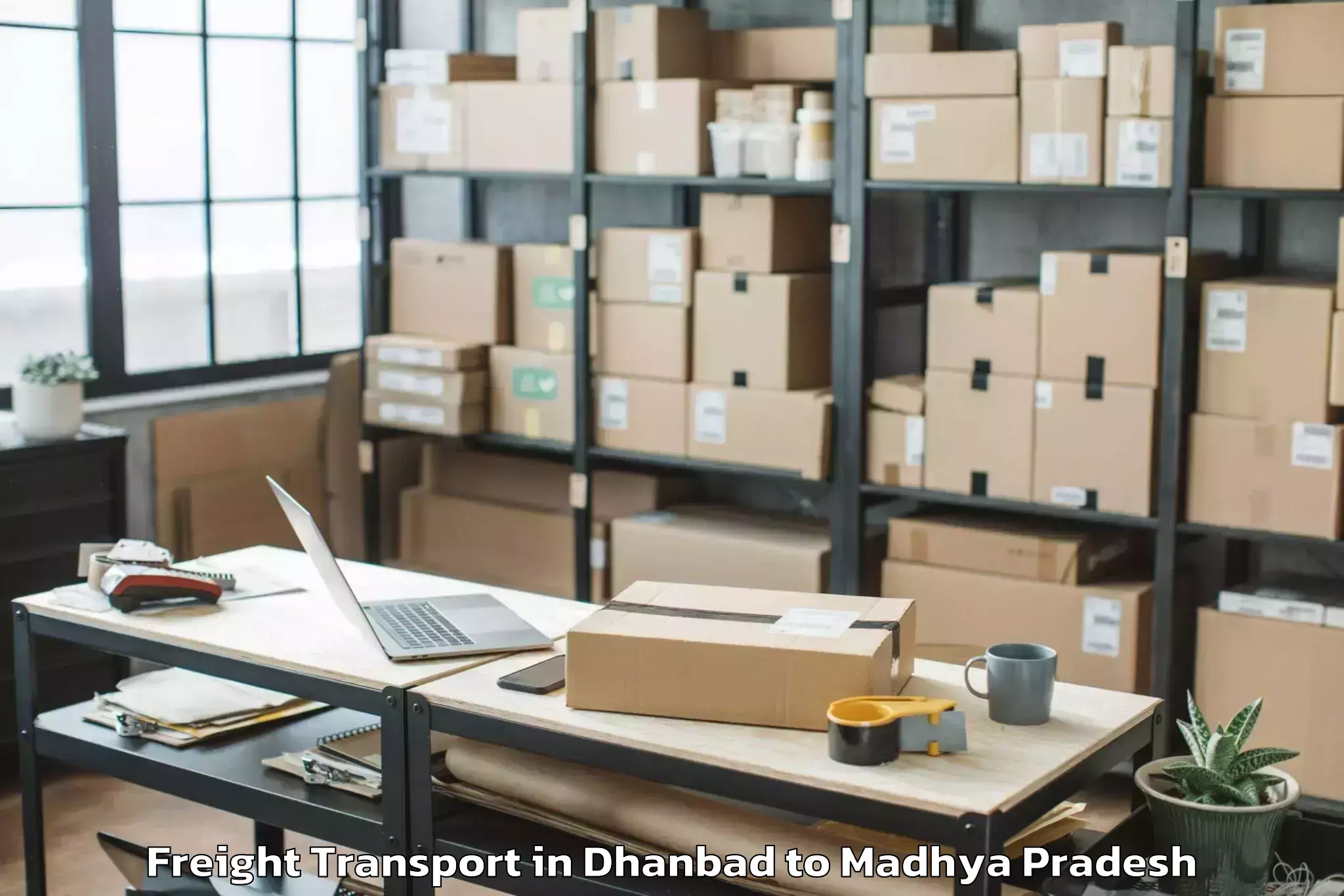 Trusted Dhanbad to Dabra Freight Transport